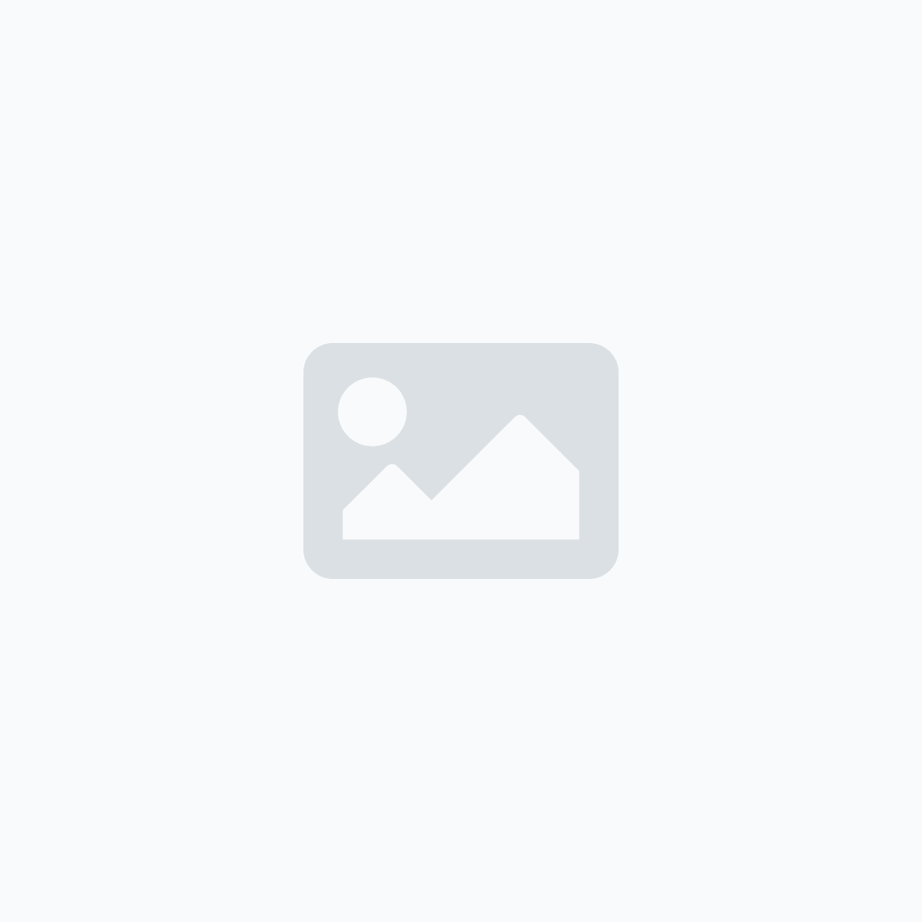 Günlük Sakızı 60 GR